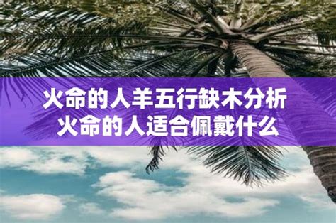 火命的人适合做什么生意|全面解析：火命人性格，事业、婚姻、适合职业，求财方位